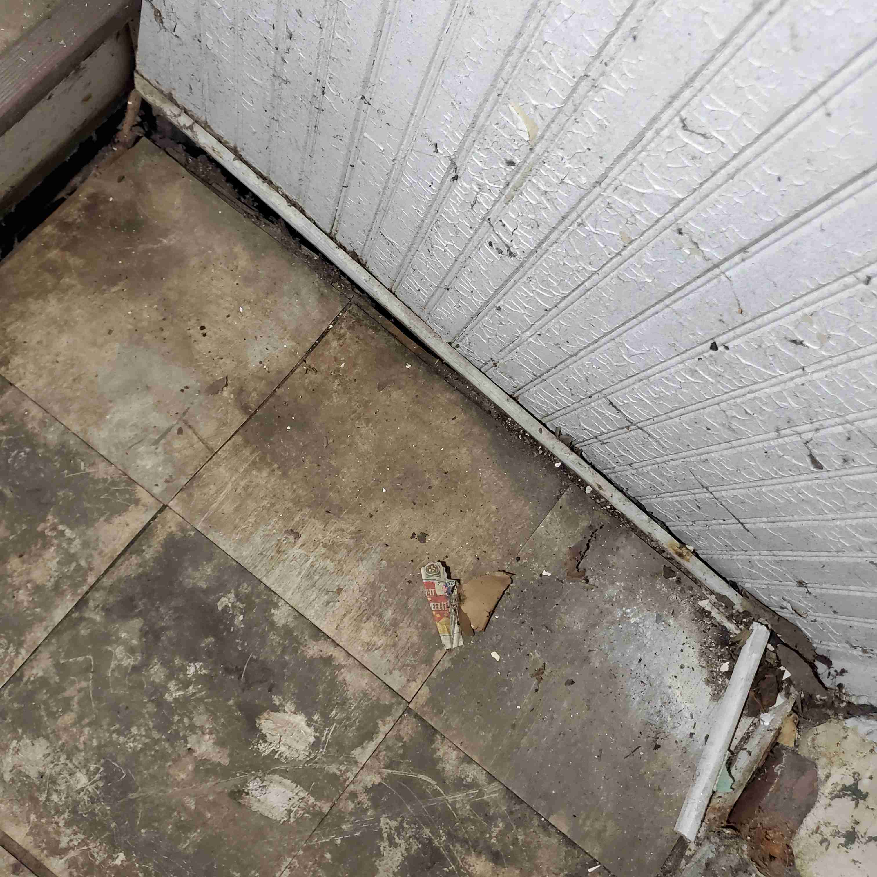 20200812_152328 (2).jpg